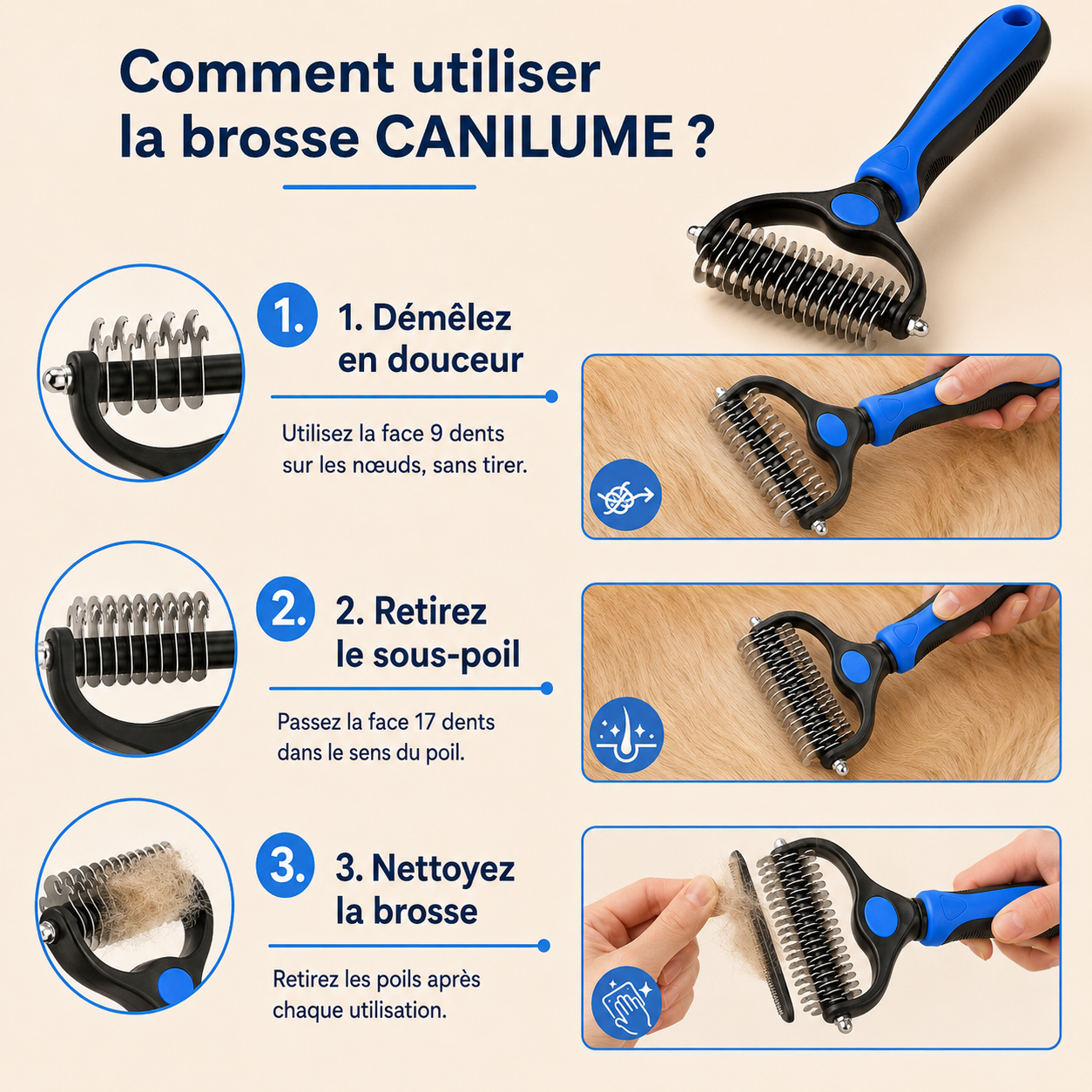 Guide d’utilisation de la brosse CANILUME en trois étapes